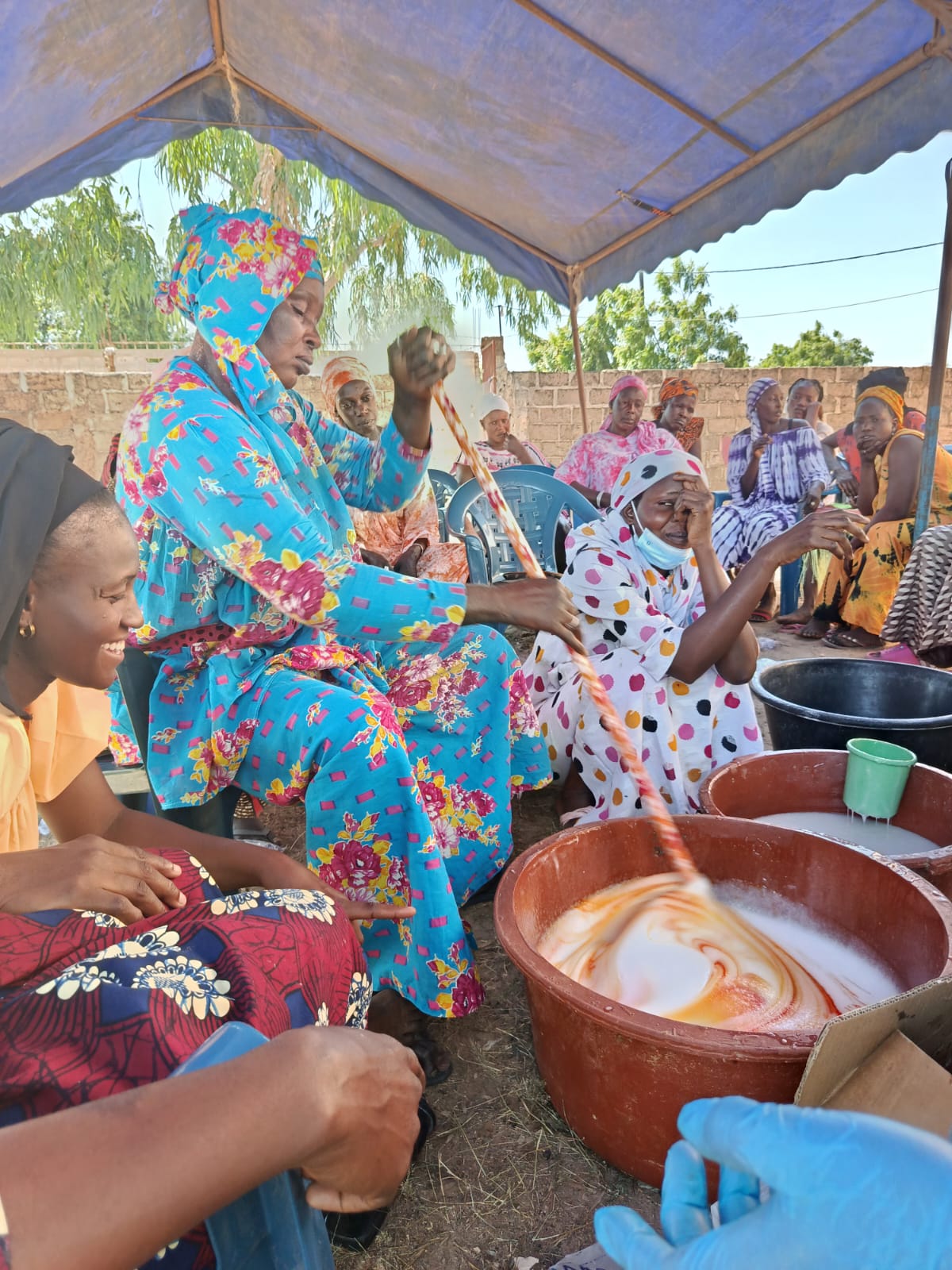 Femmes du Ferlo transformant le bissap artisanalement